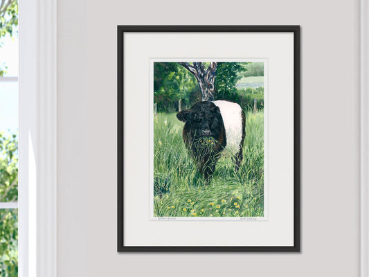 Framed watercolor print of Beltie's Brunch Belted Galloway cow in a black frame on a neutral wall.