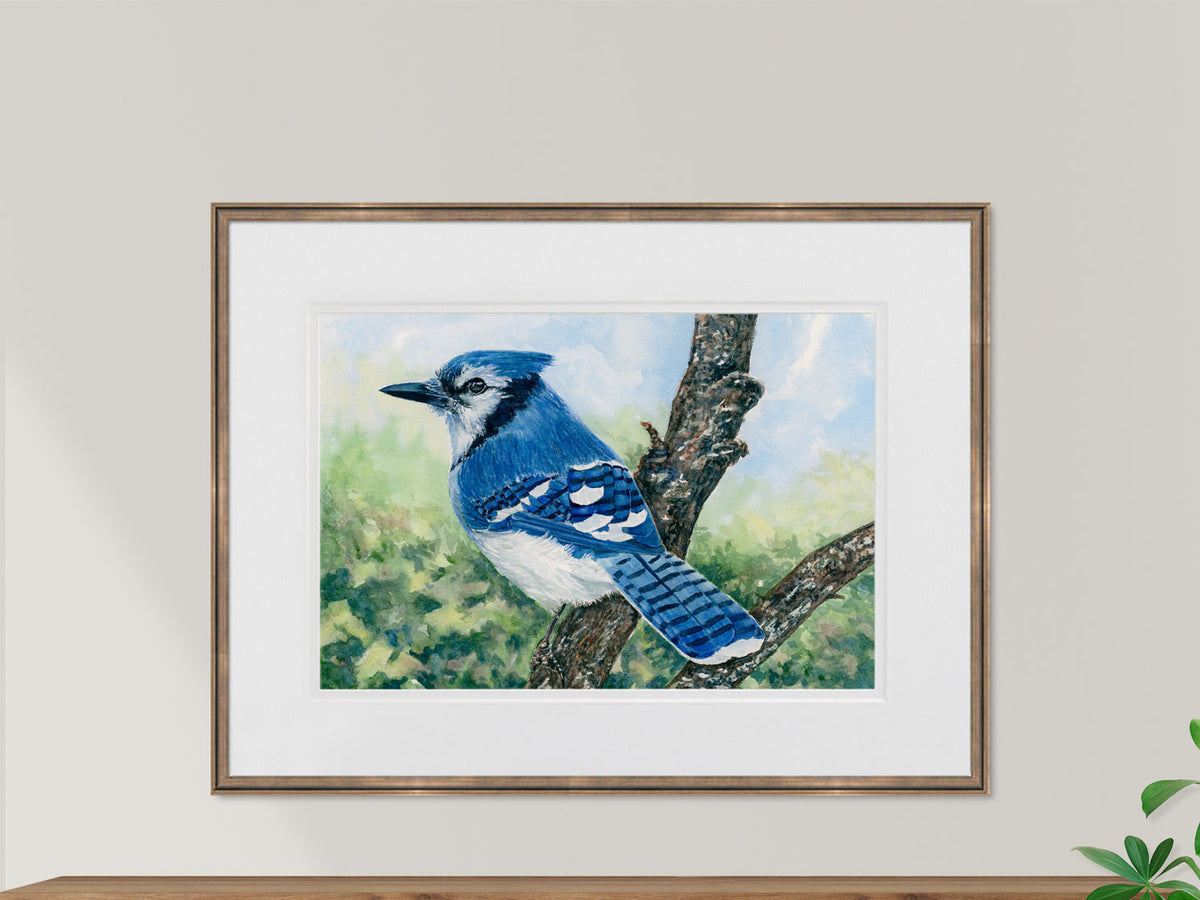 Framed original watercolor painting of a Blue Jay in a warm bronze frame.