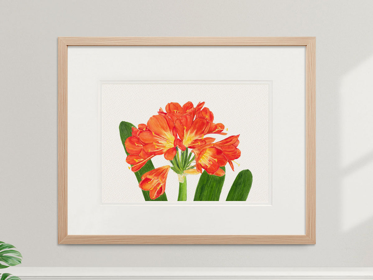 Framed original watercolor painting of Clivia in a warm wood frame.