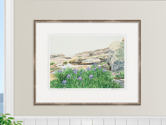 Framed watercolor print of Irises in the Fog, Acadia National Park, in a warm wood frame in a lifestyle setting.