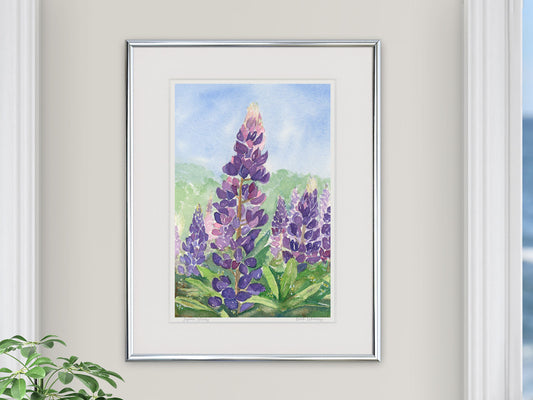 Framed watercolor print of Lupine Study, wild lupine near Acadia National Park, in a silver frame with natural window light.