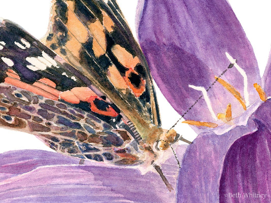 Close up of Painted Lady butterfly painting showing the intricate details and brush strokes.