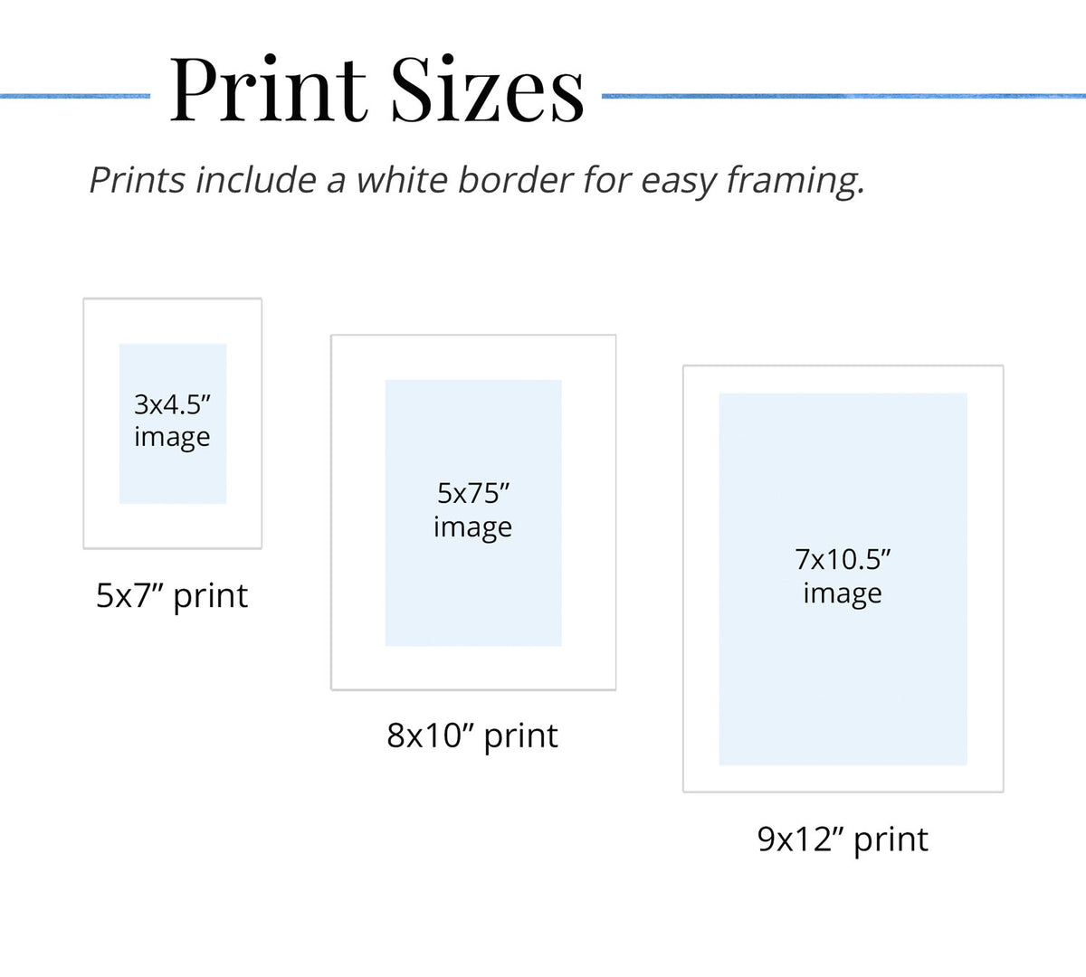 Chart showing available vertical watercolor print sizes: 5x7, 8x10, 9x12 inches