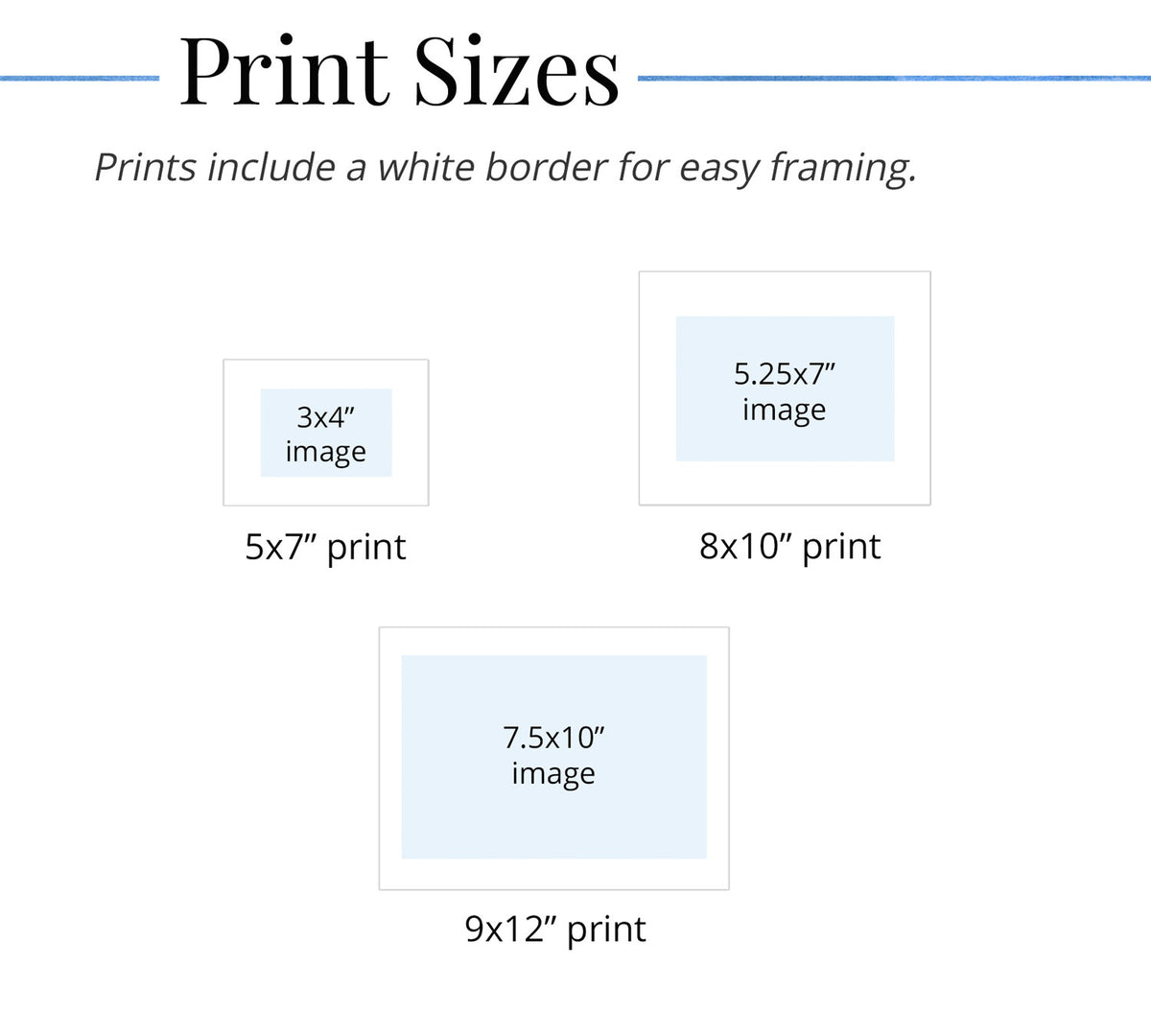 Chart showing different print sizes with white borders for easy framing.