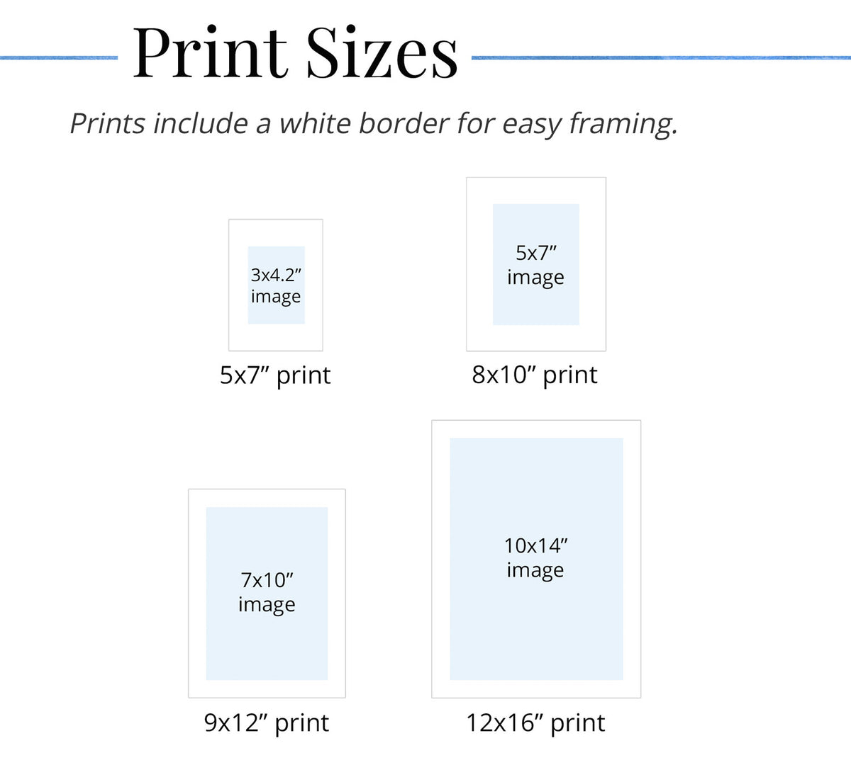 Chart showing various print sizes with white borders for easy framing.