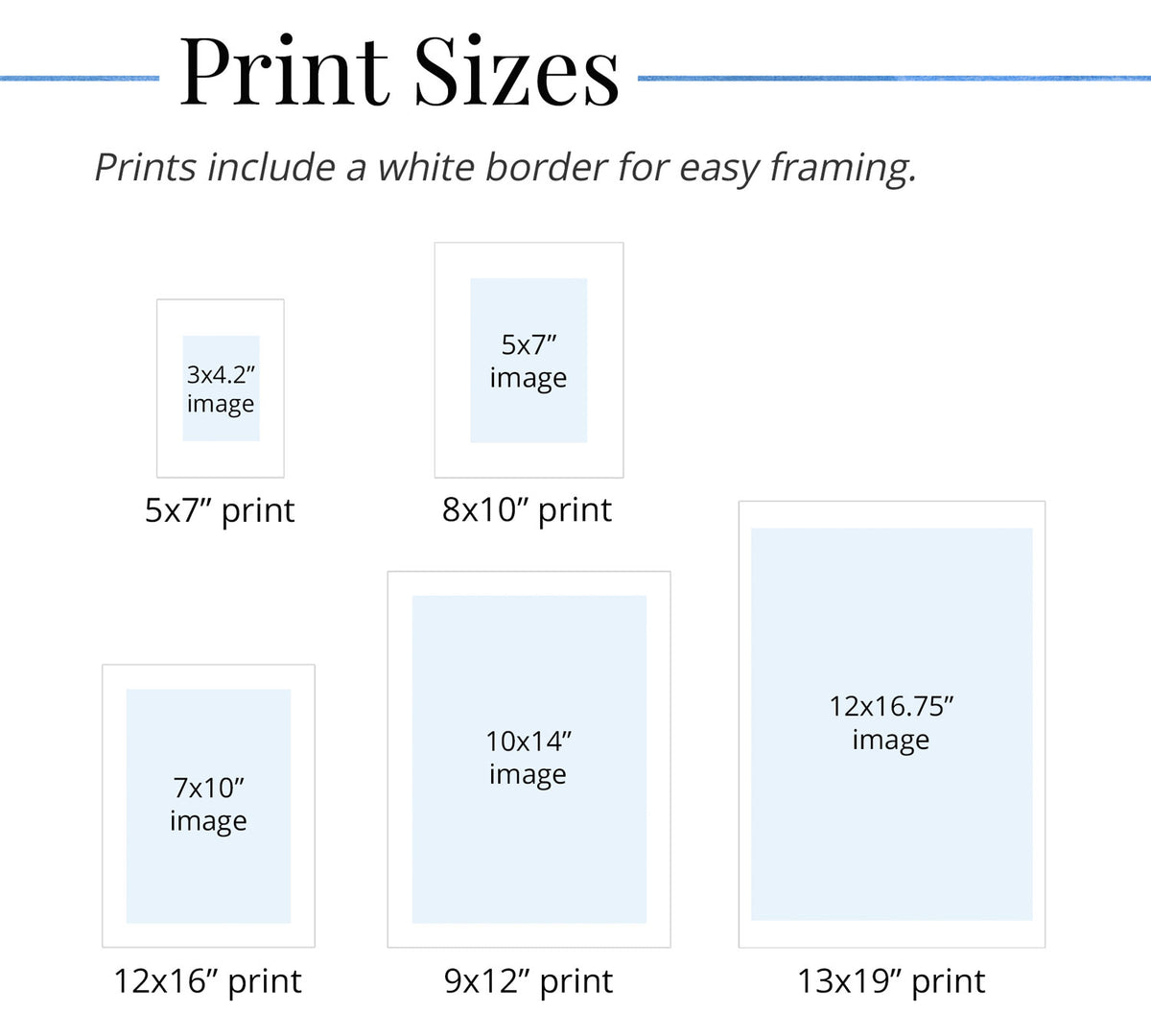 Chart showing available print sizes with white border for easy framing.