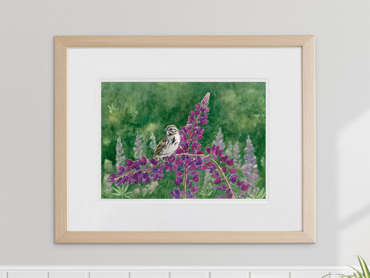 Framed original watercolor painting of Song Sparrow and Lupine, Bremen, Maine, in a warm wood frame.