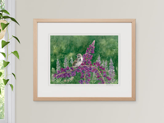 Framed watercolor print of Song Sparrow and Lupine, Bremen, Maine, in a warm wood frame with plant styling.