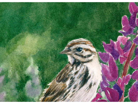 Close-up detail of original watercolor painting of Song Sparrow and Lupine, showing brushstrokes on the sparrow, lupine, and green bokeh background.