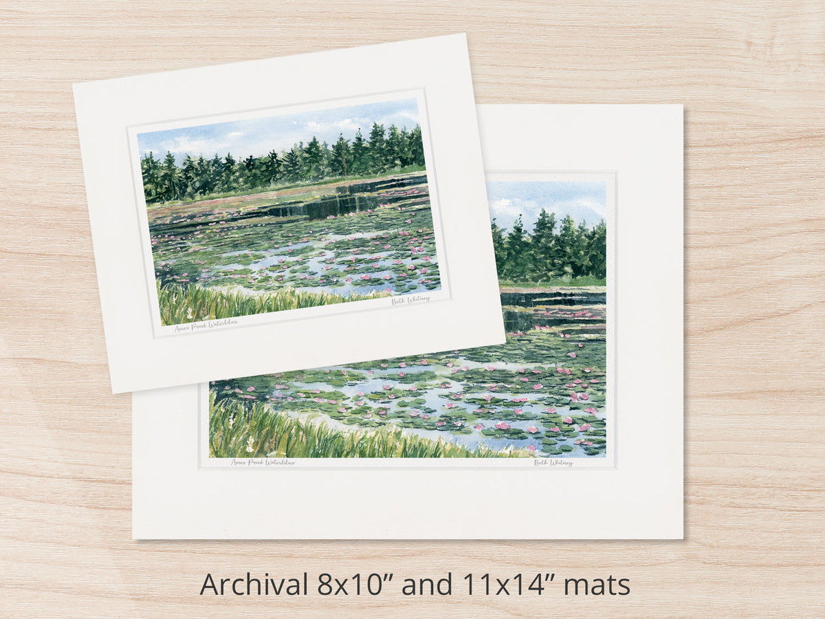 Archival watercolor prints of Ames Pond waterlilies, Stonington, shown in 8x10 and 11x14 mat sizes.