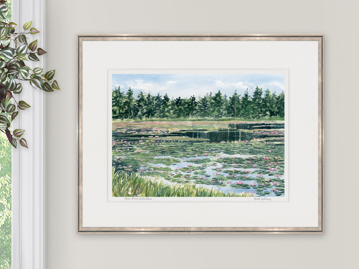 Framed watercolor print of Ames Pond waterlilies, Stonington, Maine, styled in a bright interior setting.