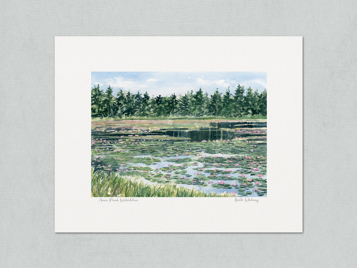 Unmatted archival watercolor print of Ames Pond waterlilies, Stonington, Maine, on gray background.
