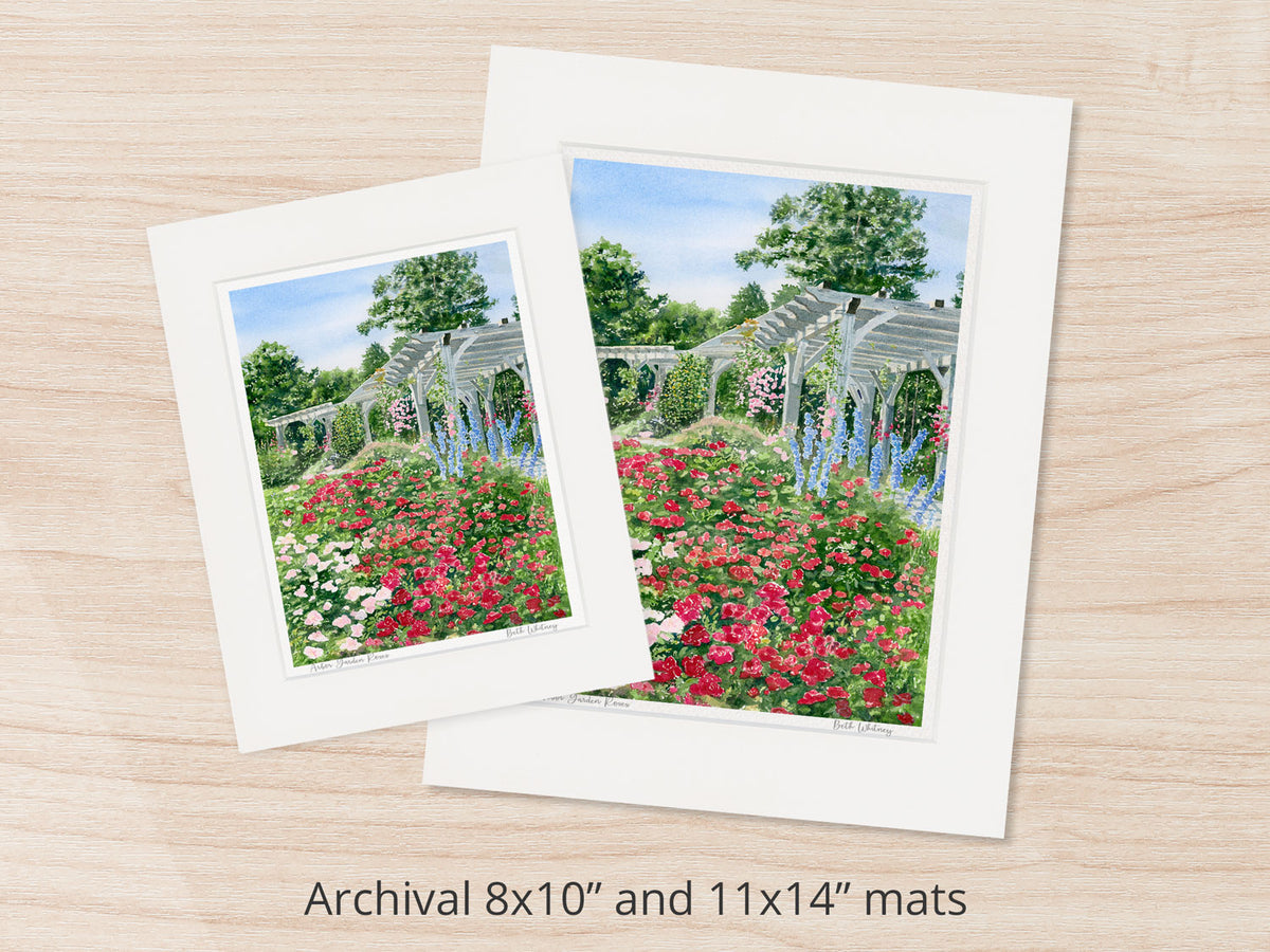 Archival watercolor prints of Arbor Garden roses at Coastal Maine Botanical Gardens, shown in 8x10 and 11x14 mat sizes.