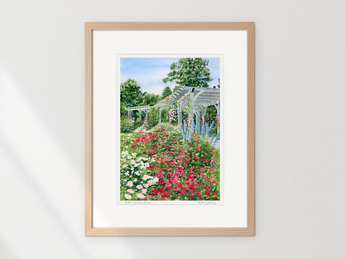 Framed watercolor print of the Arbor Garden roses and pergola at Coastal Maine Botanical Gardens, displayed on a sunny wall.
