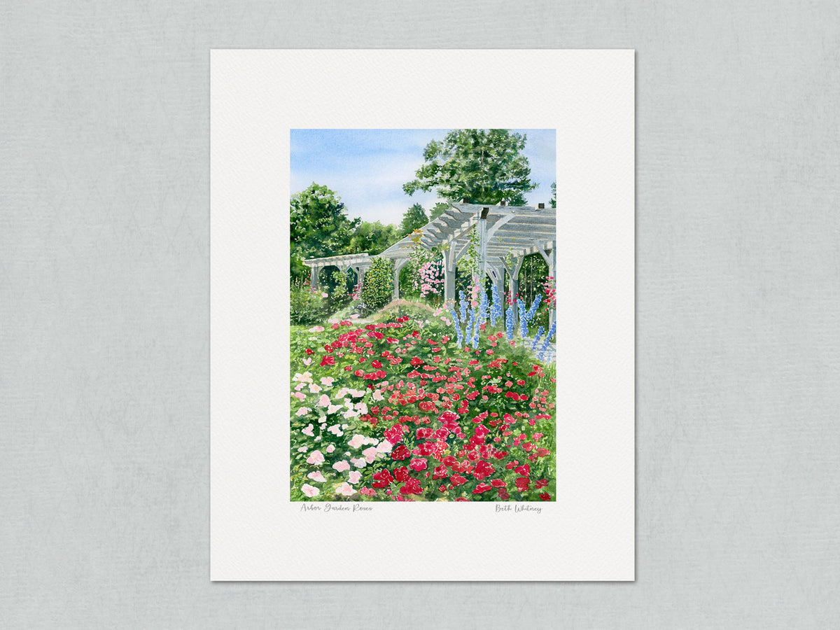 Unmatted archival watercolor print of the Arbor Garden roses and pergola at Coastal Maine Botanical Gardens, on gray background.
