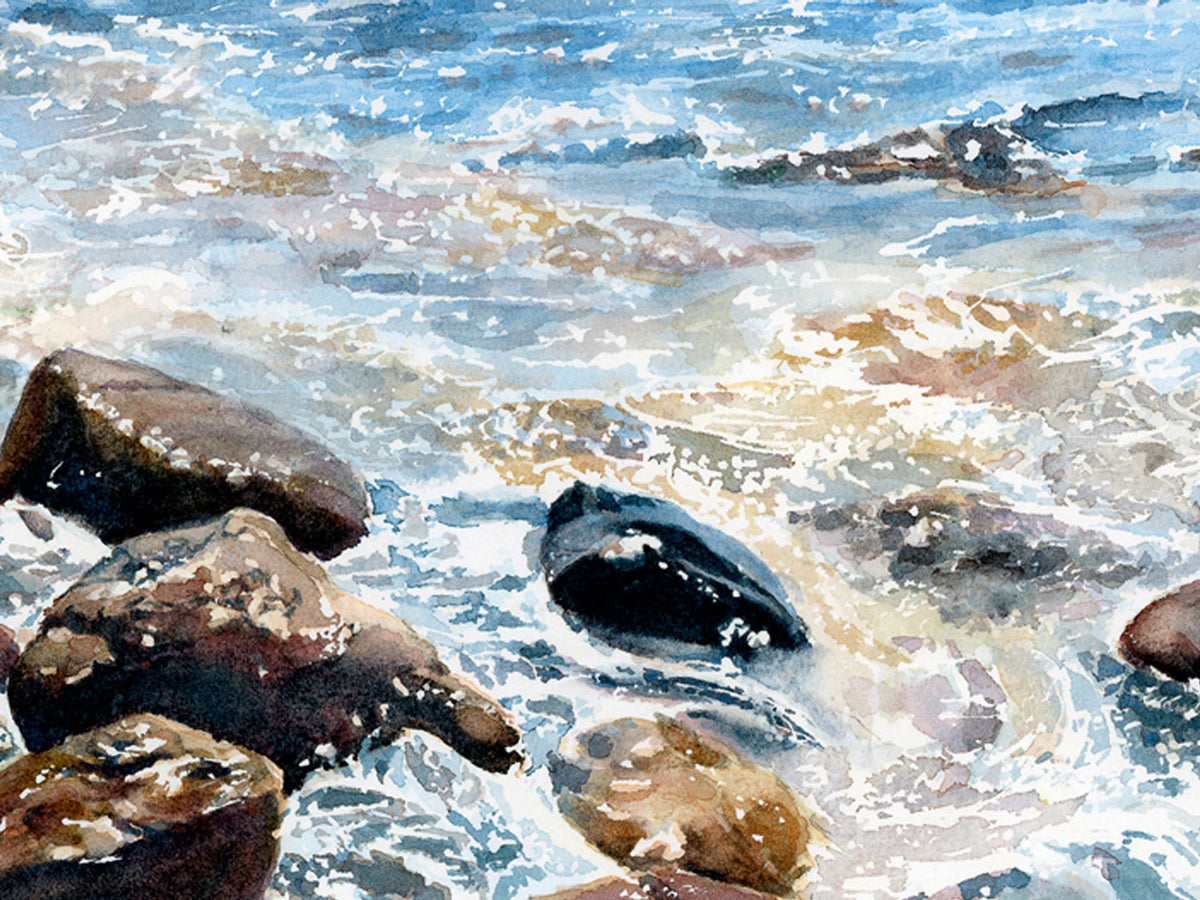 Close-up detail of original watercolor painting showing glistening wet rocks at Barred Island, Sunset, Maine.