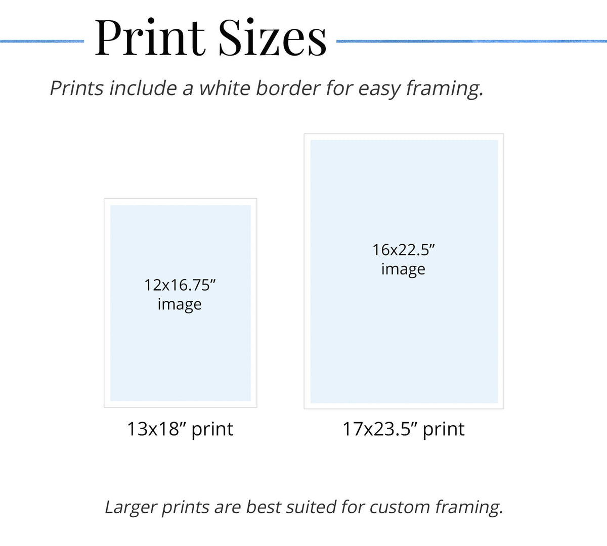 Chart showing different print sizes with white borders for easy framing.