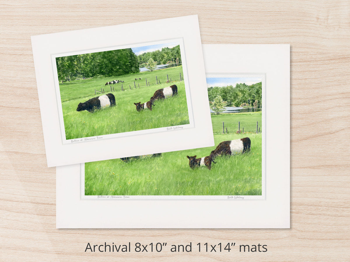 Archival watercolor prints of Belties at Aldermere Farm, shown in 8x10 and 11x14 mat sizes.