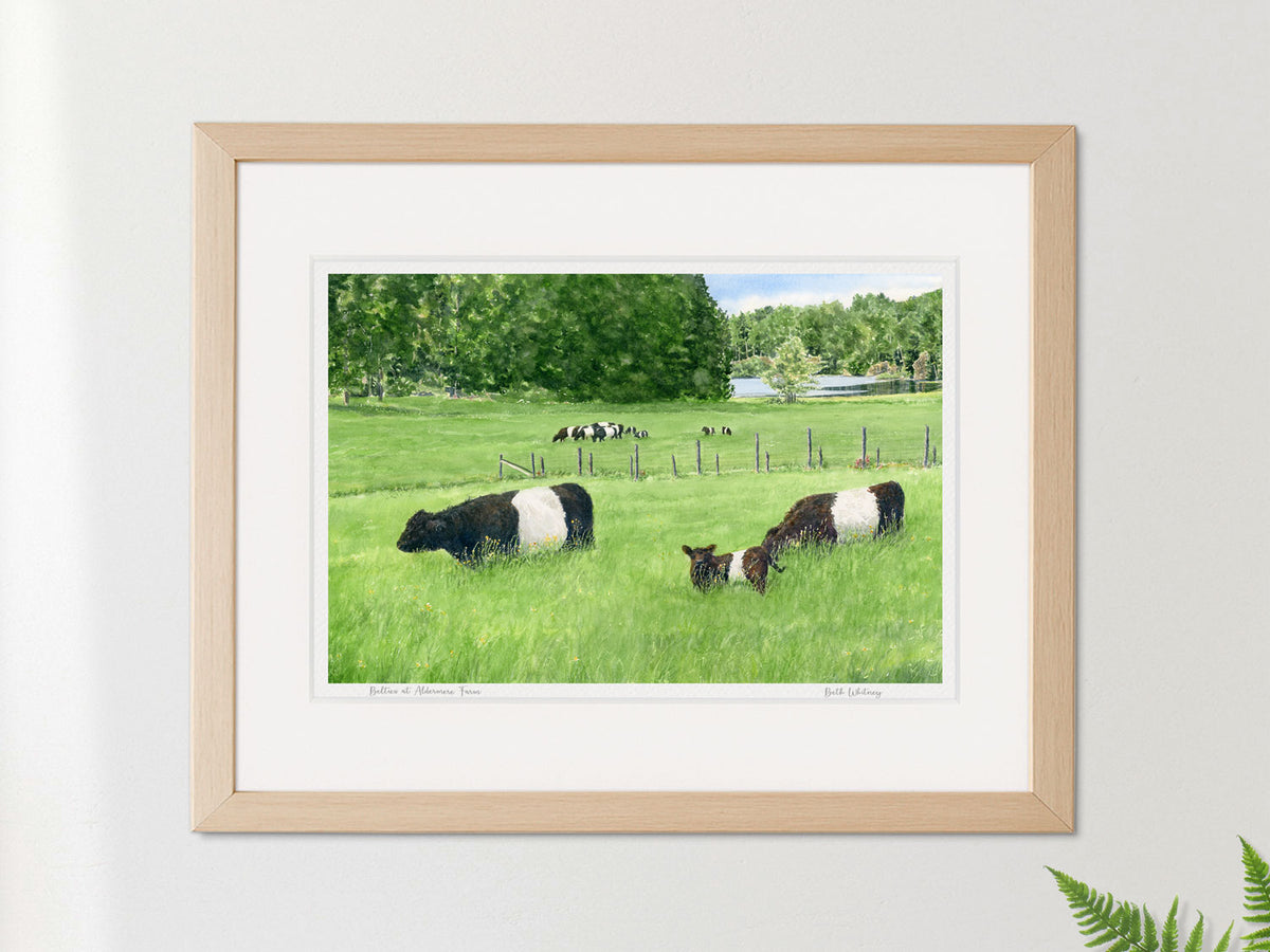 Framed watercolor print of Belties at Aldermere Farm in a warm wood frame on a neutral wall.