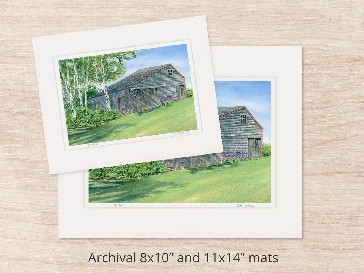 Archival watercolor prints of Birches, Friendship, Maine, shown in 8x10 and 11x14 mat sizes.