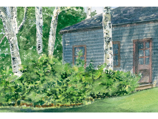Close-up detail of original watercolor painting of Birches, showing purple monkshood at the barn door, Friendship, Maine.