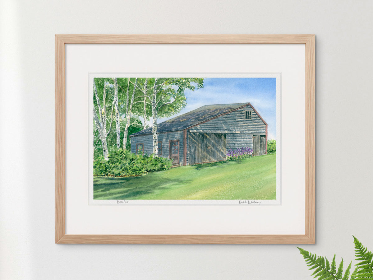 Framed watercolor print of Birches, weathered barn and paper birches, in a warm wood frame on a white wall.