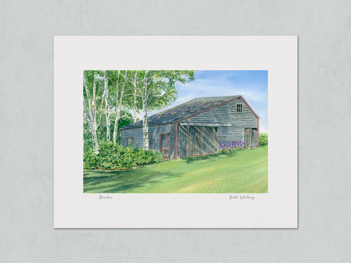 Unmatted archival watercolor print of Birches, weathered barn and white paper birches, Friendship, Maine, on gray background.