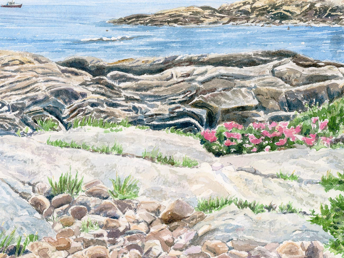 Close-up detail of original watercolor painting of Blueberry Hill, showing beach roses and cobblestones along the Schoodic shore.