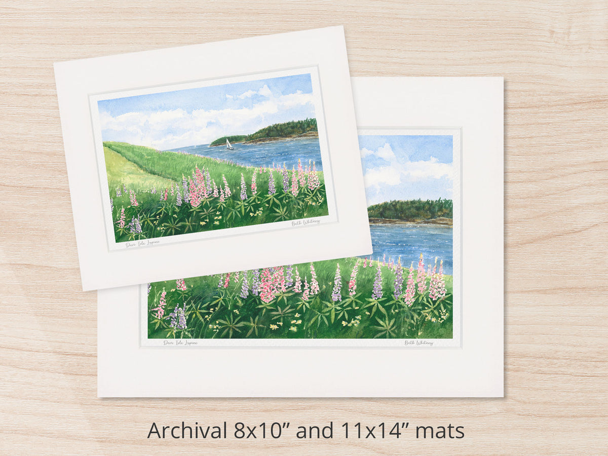 Archival watercolor prints of Deer Isle Lupine, shown in 8x10 and 11x14 mat sizes.