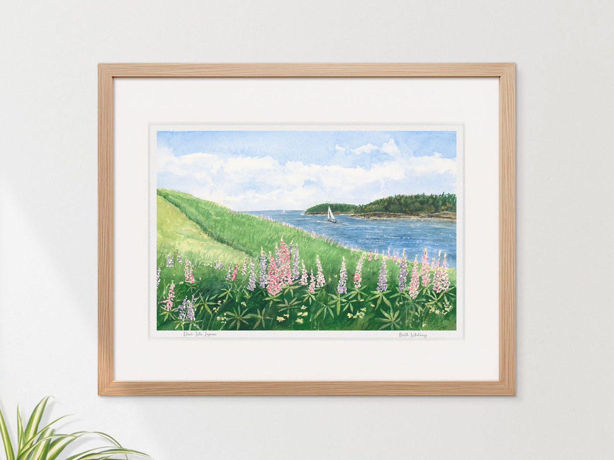 Framed watercolor print of Deer Isle Lupine in a silver frame on a neutral wall.