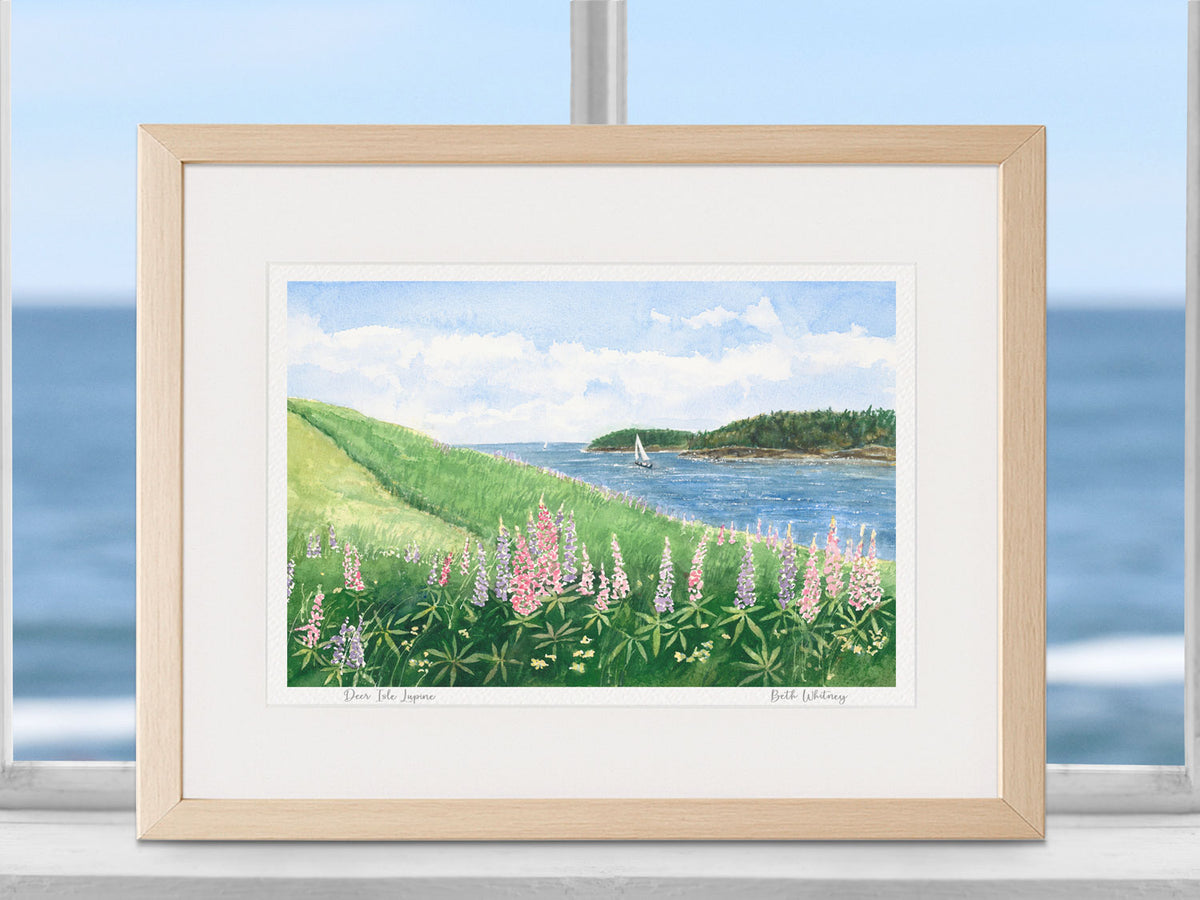Framed watercolor print of Deer Isle Lupine in a warm wood frame with natural window light.
