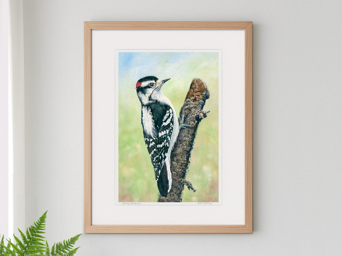 Framed watercolor print of Downy Woodpecker in a warm wood frame with fern styling.