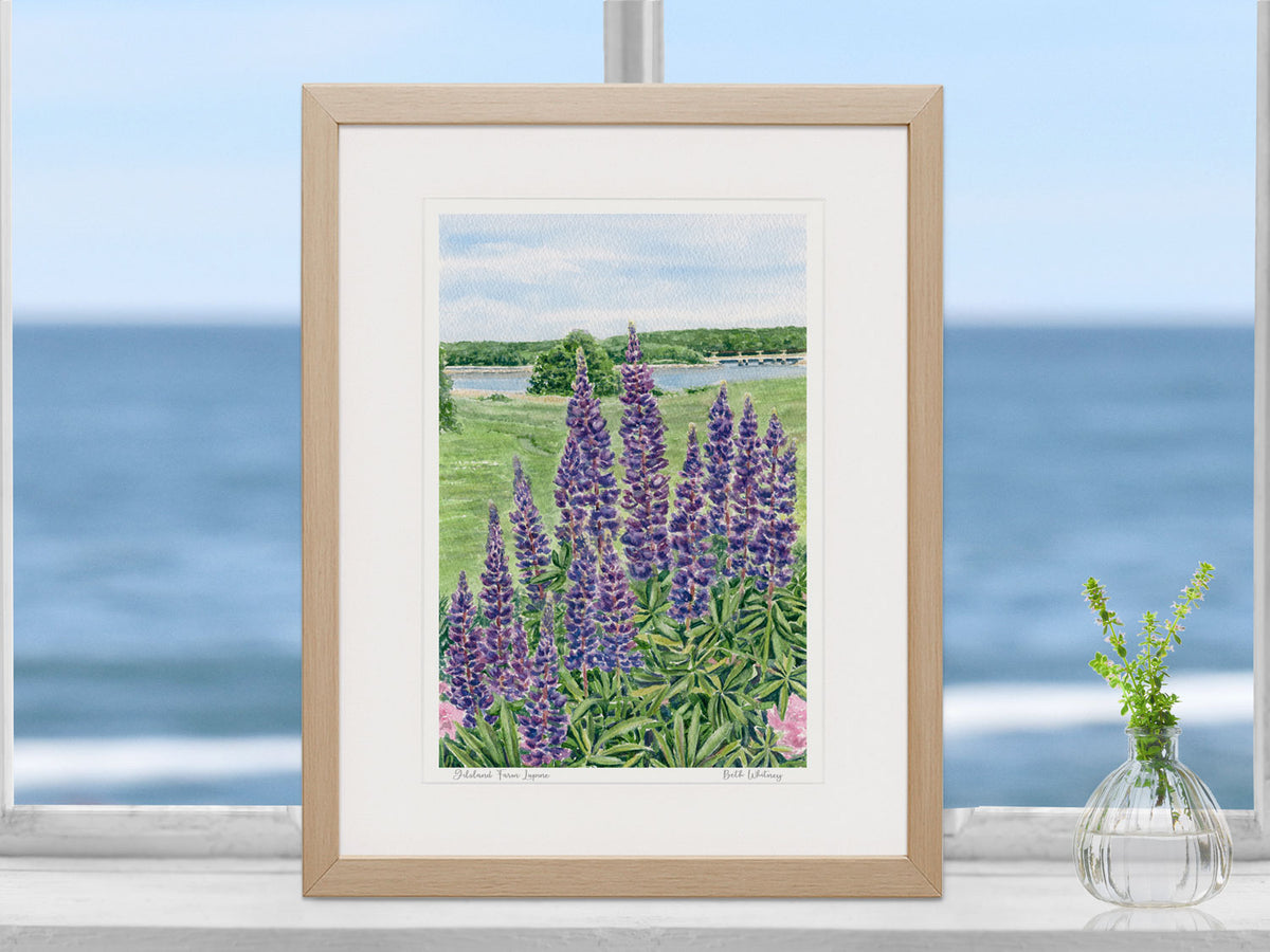 Framed watercolor print of Gilsland Farm Lupine in a warm wood frame in a coastal window setting.