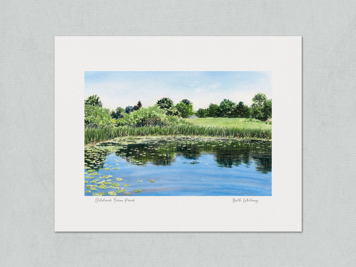 Unmatted archival watercolor print of Gilsland Farm Pond, Maine Audubon, Falmouth, Maine, on gray background.