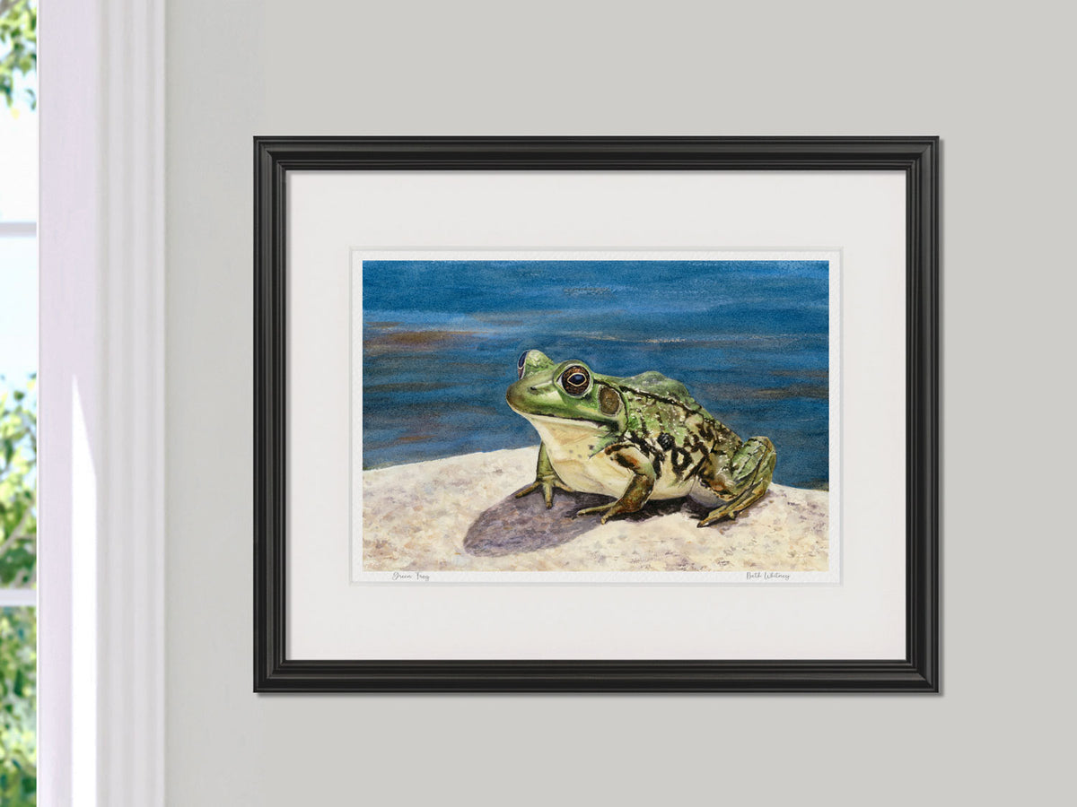 Framed watercolor print of Green Frog, Boothbay, Maine, in a black frame on a neutral wall.