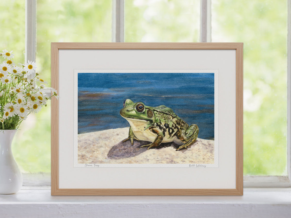 Framed watercolor print of Green Frog in a warm wood frame with natural window light and flower styling.