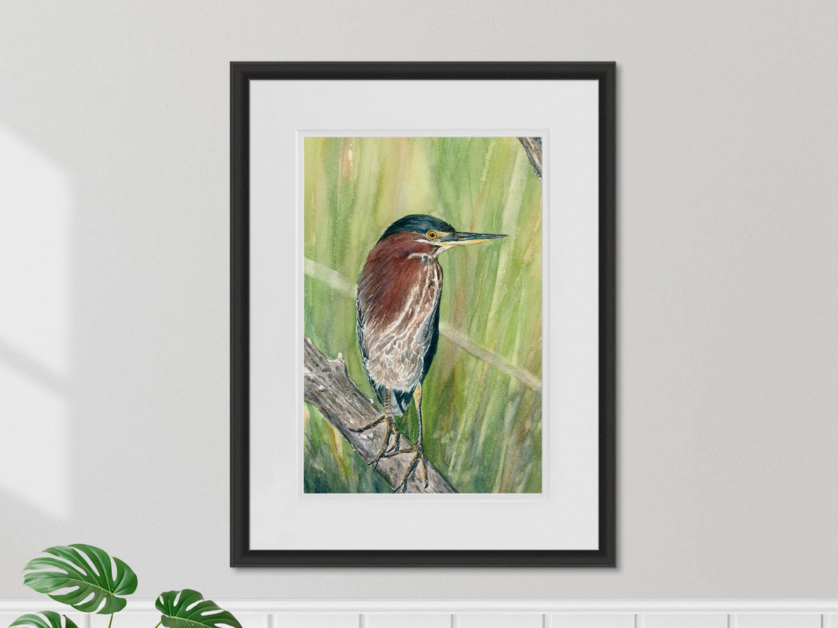 Framed original watercolor painting of Green Heron in a black frame, shown in a neutral home decor setting.