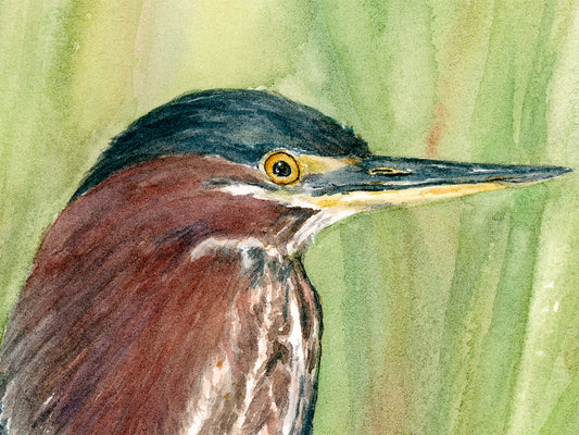 Close-up detail of original watercolor painting of Green Heron, showing brushstrokes on the bird's head, eye, and dark cap.
