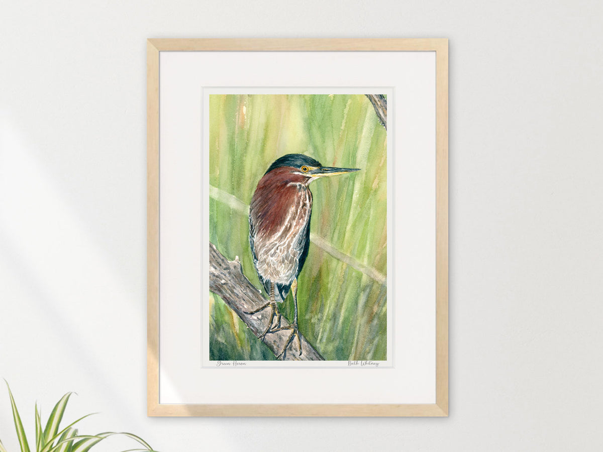 Framed watercolor print of Green Heron in a warm wood frame on a neutral wall.