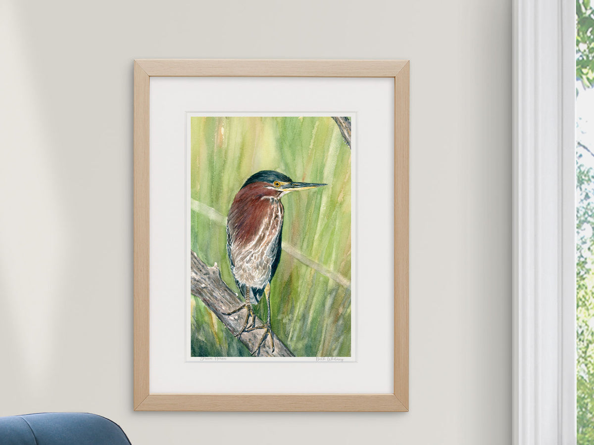 Framed watercolor print of Green Heron in a warm wood frame in a cozy reading nook.