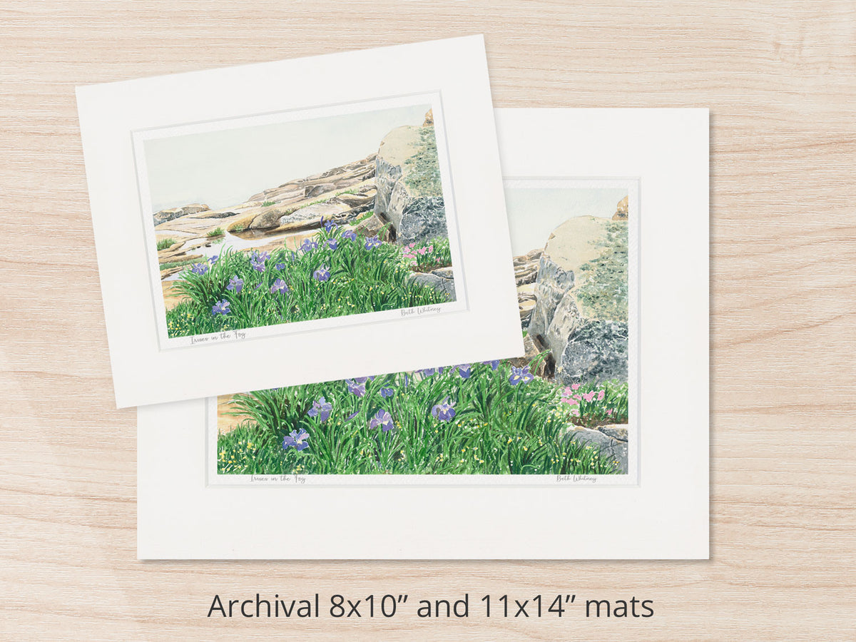 Archival watercolor prints of Irises in the Fog, Schoodic Point, Acadia National Park, shown in 8x10 and 11x14 mat sizes.