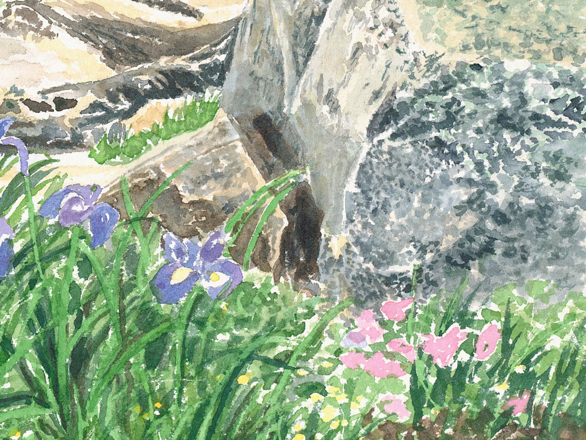 Close-up detail of original watercolor painting of Irises in the Fog, showing wild purple irises and rocky shoreline at Schoodic Point.
