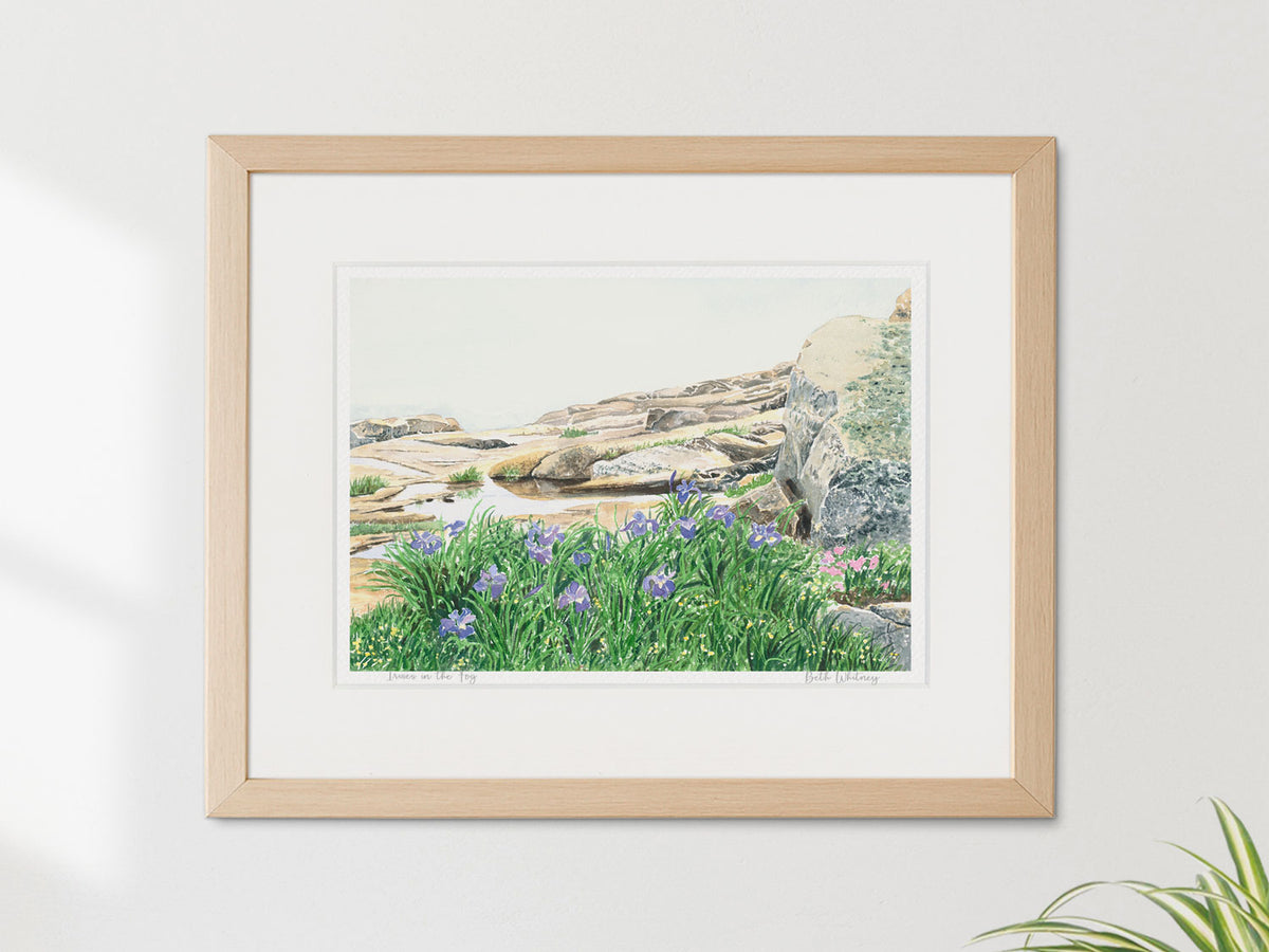 Framed watercolor print of Irises in the Fog, Schoodic Point, Acadia, in a warm wood frame on a neutral wall.