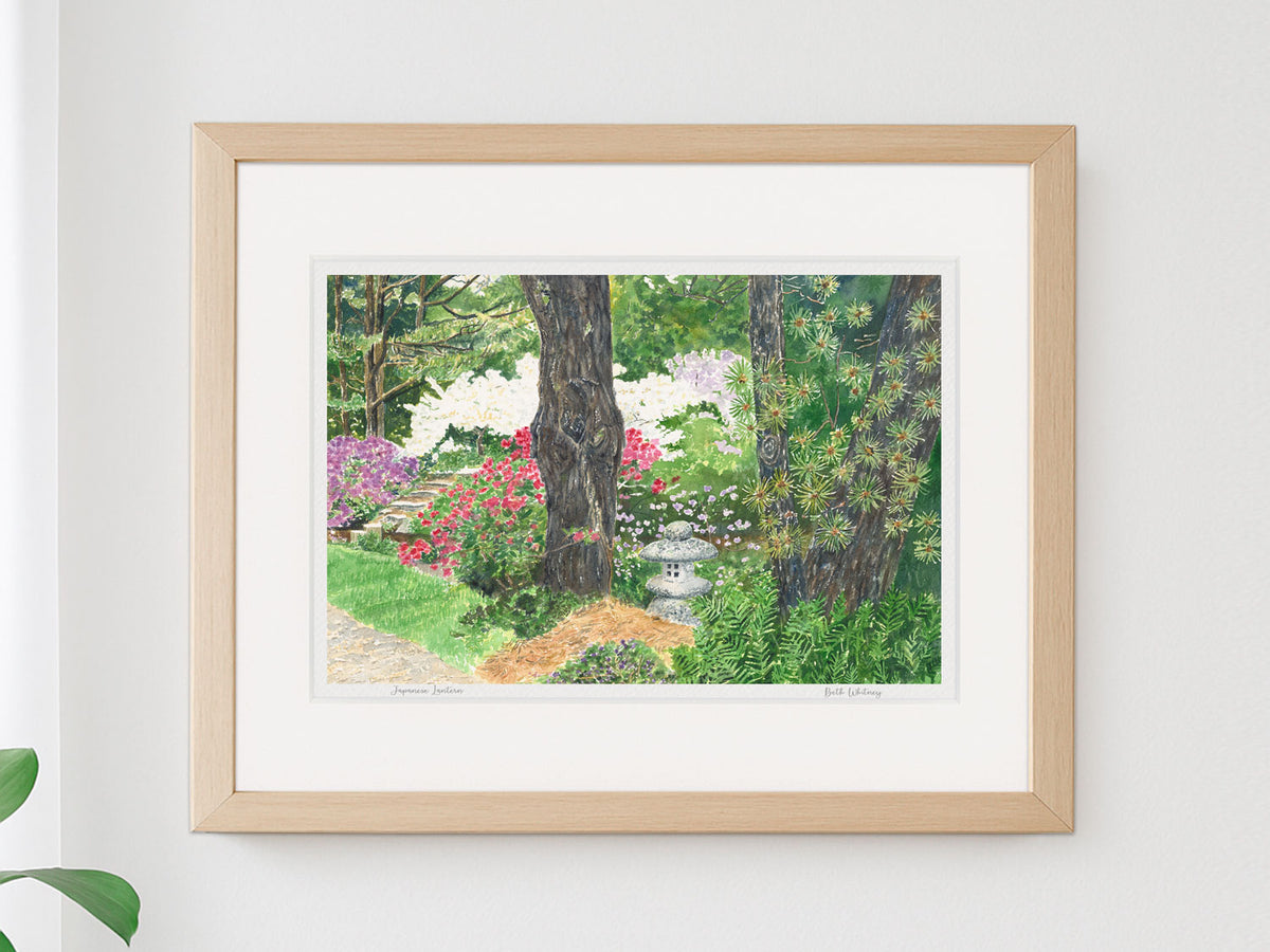 Framed watercolor print of Japanese Lantern, Asticou Azalea Garden, Northeast Harbor, in a warm wood frame on a neutral wall.