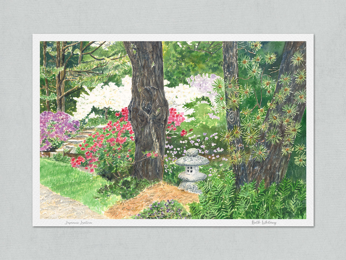 Unmatted archival watercolor print of Japanese Lantern, Asticou Azalea Garden, Northeast Harbor, Maine, on gray background.