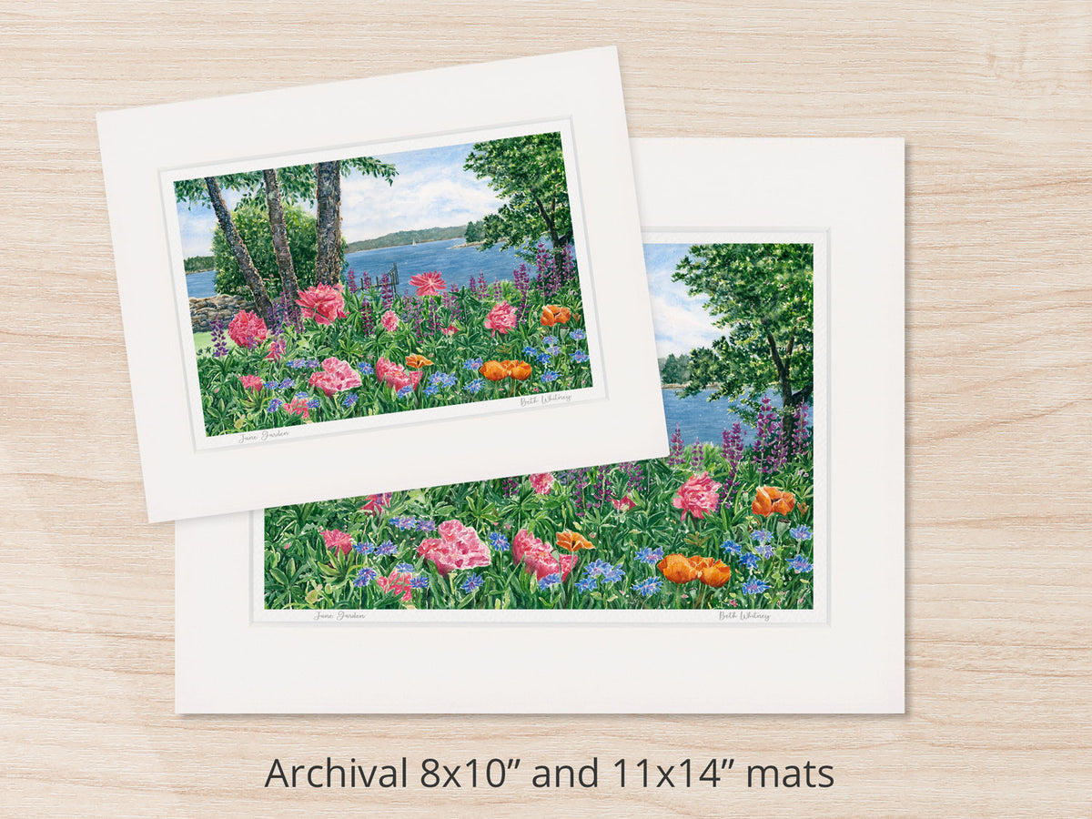 Archival watercolor prints of June Garden, Friendship, Maine, shown in 8x10 and 11x14 mat sizes