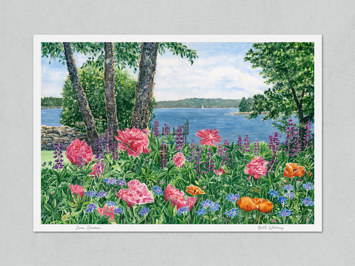 Unmatted archival watercolor print of June Garden, seaside garden in Friendship, Maine, on gray background