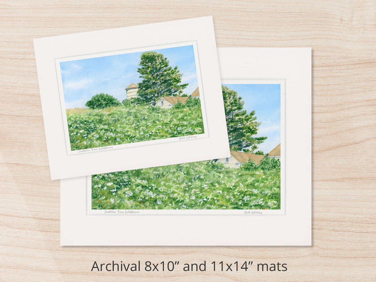 Archival watercolor prints of Laudholm Farm Wildflowers, Wells, Maine, shown in 8x10 and 11x14 mat sizes.