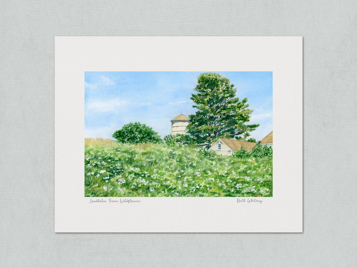 Unmatted archival watercolor print of Laudholm Farm Wildflowers, Wells Reserve, Wells, Maine, on gray background.
