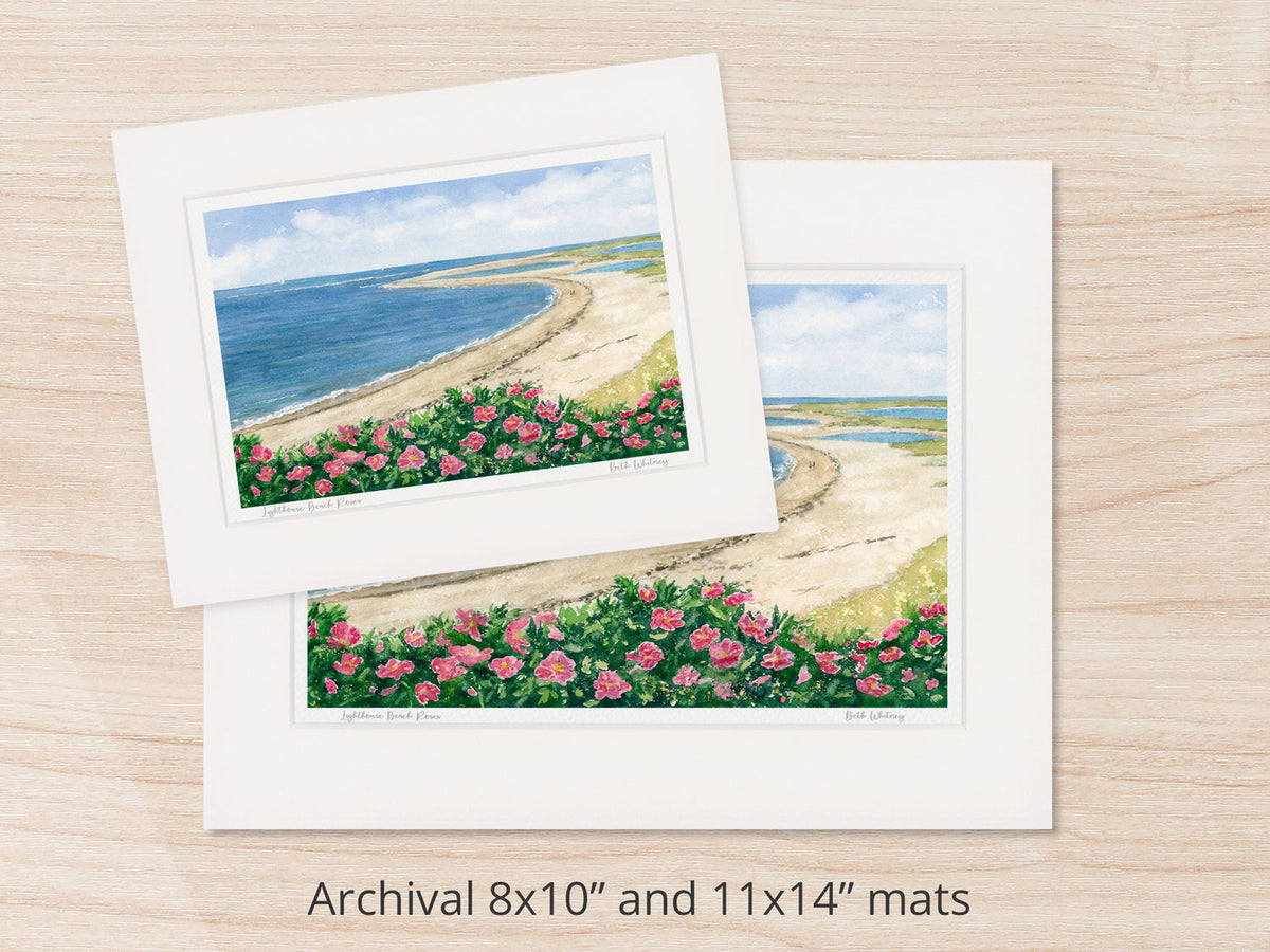 Archival watercolor prints of Lighthouse Beach Roses, Chatham, Cape Cod, shown in 8x10 and 11x14 mat sizes.